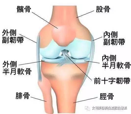 郑爽的漫画腿被吹上天?可再美也是畸形的