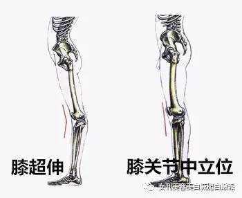 郑爽的漫画腿被吹上天?可再美也是畸形的