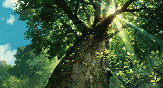 在别人的眼里,你最像哪种植物?