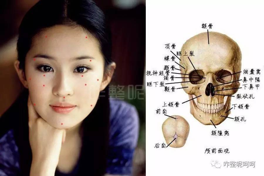 从骨相上讲,杨幂的笑脸没有刘亦菲的大饼脸好