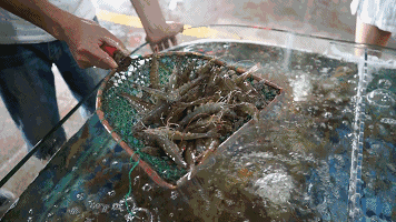356_200gif 动态图 动图