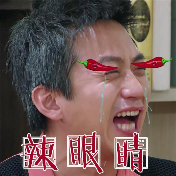 开整容医院、年龄造假，刘晓庆真是一个蜡像般的存在（组图） - 14
