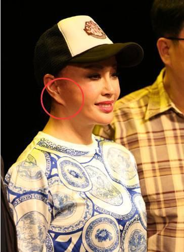 开整容医院、年龄造假,刘晓庆一个蜡像般的存