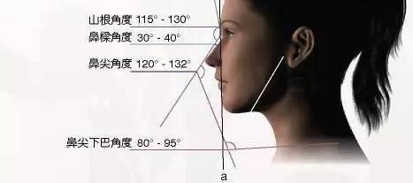 刘亦菲吴昕都不是完美鼻型,你为什么会觉得她