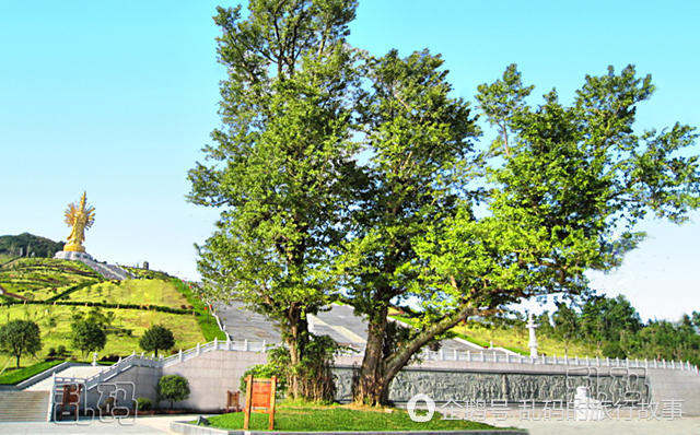 湖南世界最大千手千眼观音圣像造价2.6亿 600余吨铜制成！