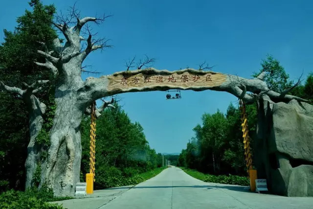 没有到过北大荒，怎敢说知道湿地，告诉你什么是地球之肾