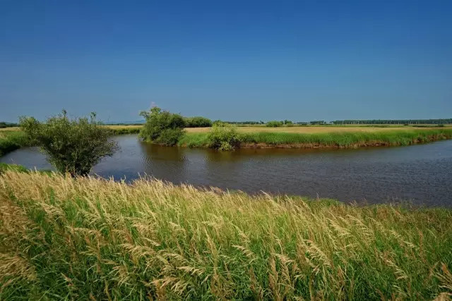 没有到过北大荒，怎敢说知道湿地，告诉你什么是地球之肾