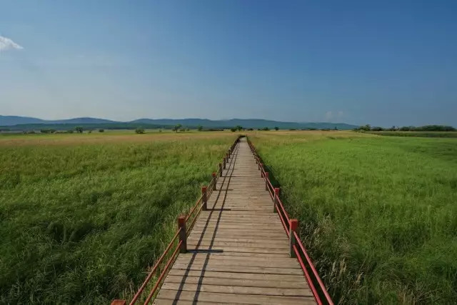 没有到过北大荒，怎敢说知道湿地，告诉你什么是地球之肾