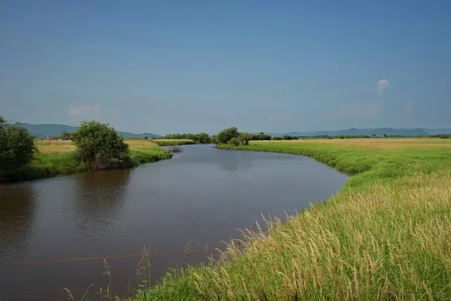 没有到过北大荒，怎敢说知道湿地，告诉你什么是地球之肾