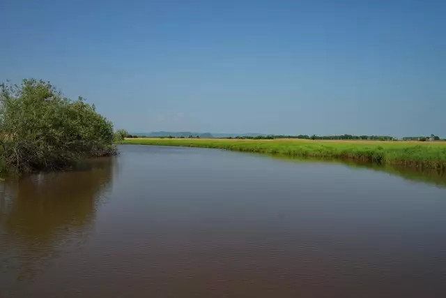 没有到过北大荒，怎敢说知道湿地，告诉你什么是地球之肾