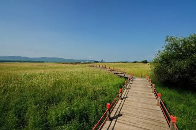 没有到过北大荒，怎敢说知道湿地，告诉你什么是地球之肾