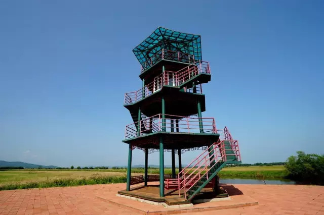 没有到过北大荒，怎敢说知道湿地，告诉你什么是地球之肾