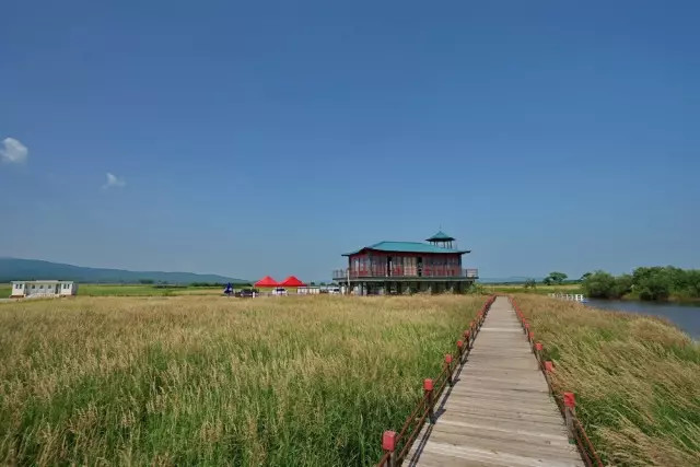 没有到过北大荒，怎敢说知道湿地，告诉你什么是地球之肾