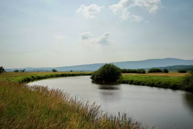 没有到过北大荒，怎敢说知道湿地，告诉你什么是地球之肾