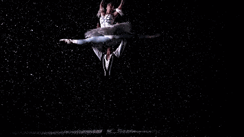 都仿佛缠绕着优雅 足尖是力量和柔美的完美融合 如烟花般在空中绽放