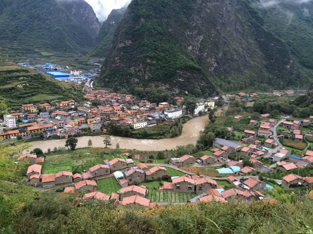 来看原野计划的志愿服务工作做了哪些