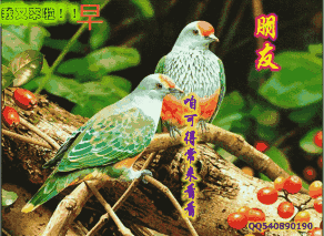 早上好清晨第一声问候祝你吉祥安康
