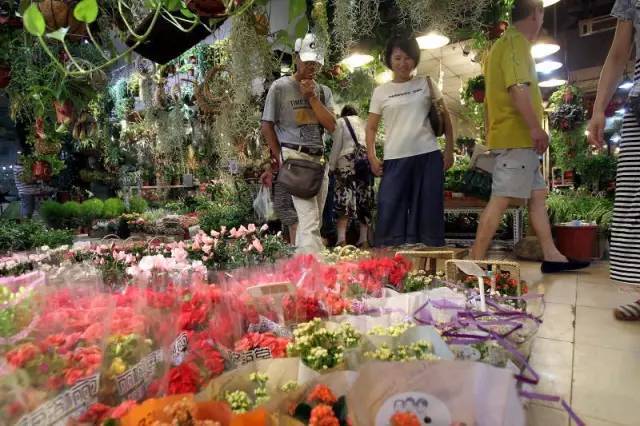 曹家渡花鸟市场年底关闭 沪上特色花鸟市场攻略