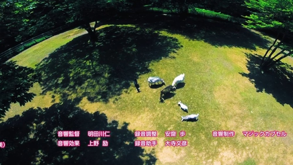 没钱也能为所欲为！《野良和皇女》用录像水了一话