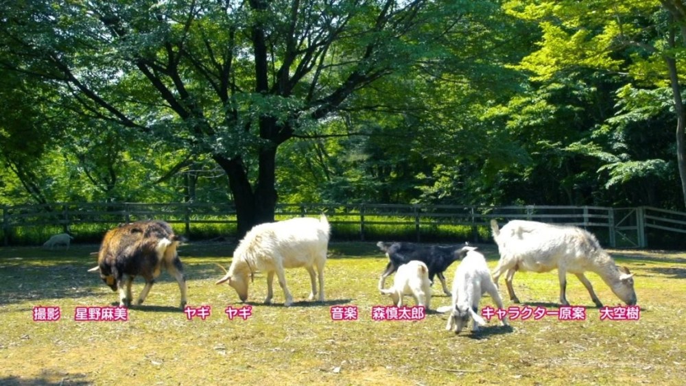 没钱也能为所欲为！《野良和皇女》用录像水了一话