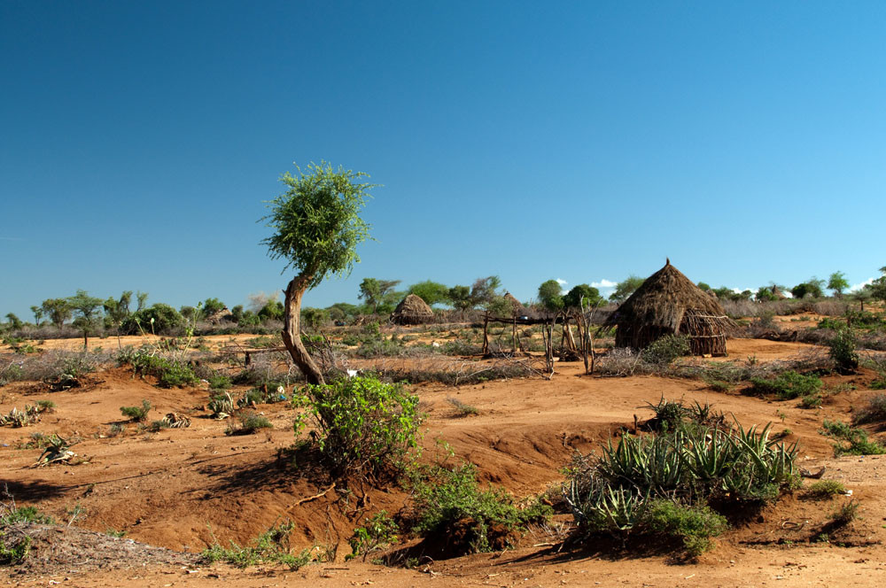 黑龙江调往河南郑州的生猪确诊发生非洲猪瘟,