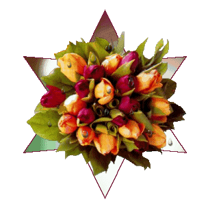 早上好,送你一心一意的祝福,祝你新的一天,幸福美满!