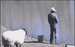 就知道钓鱼,也不陪我玩会儿,让你长长记性