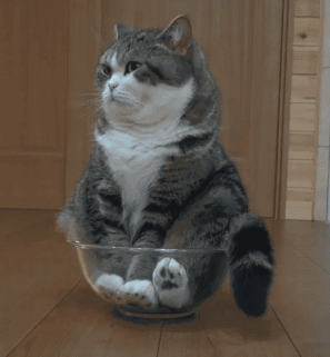 内涵段子gif:非洲外教上课,根本看不到他