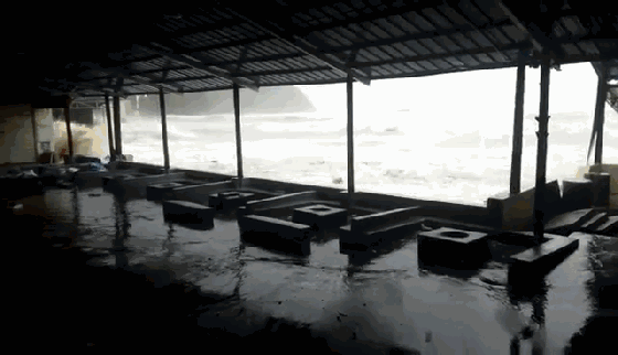 “天鸽”威力有多大？盐田大梅沙烧烤场遭巨浪突袭