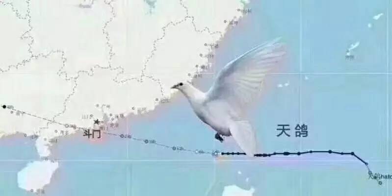 “天鸽”威力有多大？盐田大梅沙烧烤场遭巨浪突袭