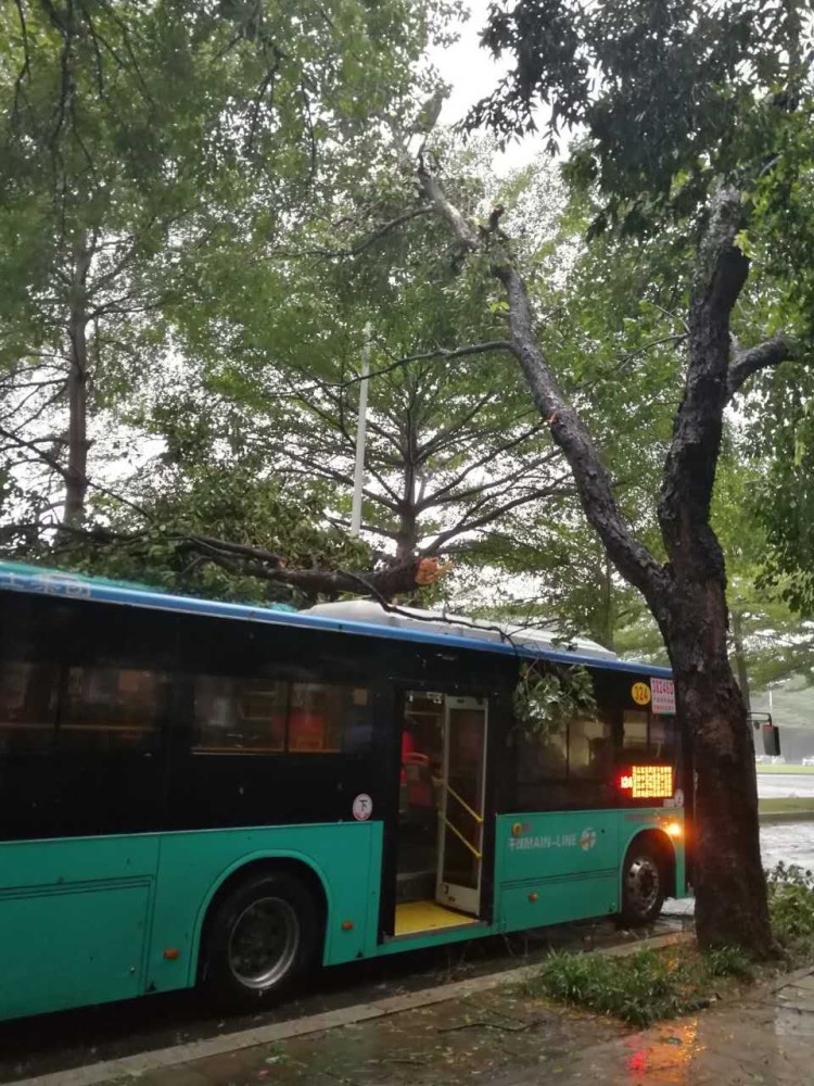 “天鸽”威力有多大？盐田大梅沙烧烤场遭巨浪突袭