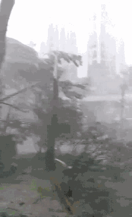 最新消息！台风“天鸽”已造成16人遇难