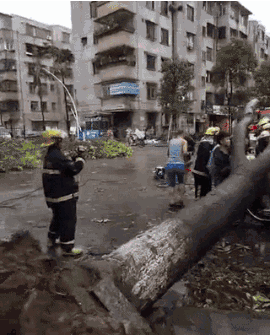最新消息！台风“天鸽”已造成16人遇难