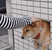 转载自白无常设计工作室,授权转发.