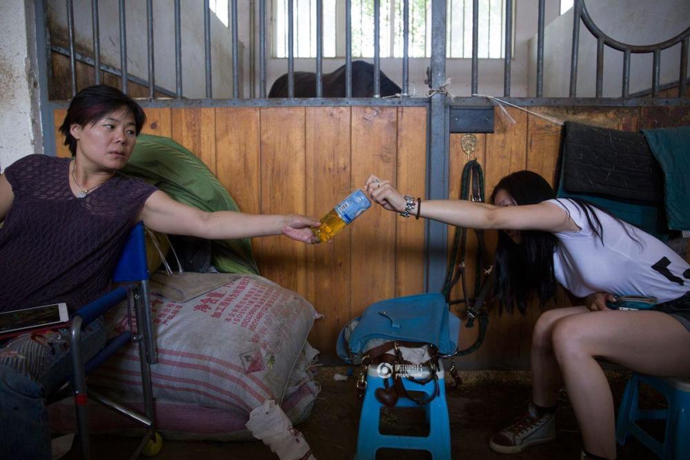 中国人的一天:马人