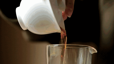 从除夕开始 就能喝到当年的早春茶 一年之计在于春 又到了采茶人