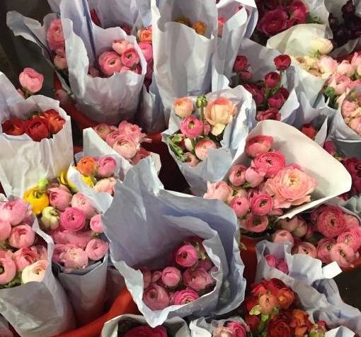 告别曹家渡花鸟市场 以后便宜鲜花要去哪里买