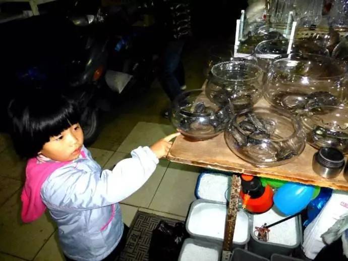 别曹家渡花鸟市场 以后便宜鲜花要去哪里买?