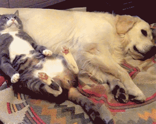 2.一股恶臭袭来,是不是你放的,不说话还想跑