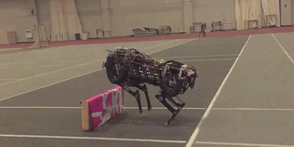 it爆料汇gif