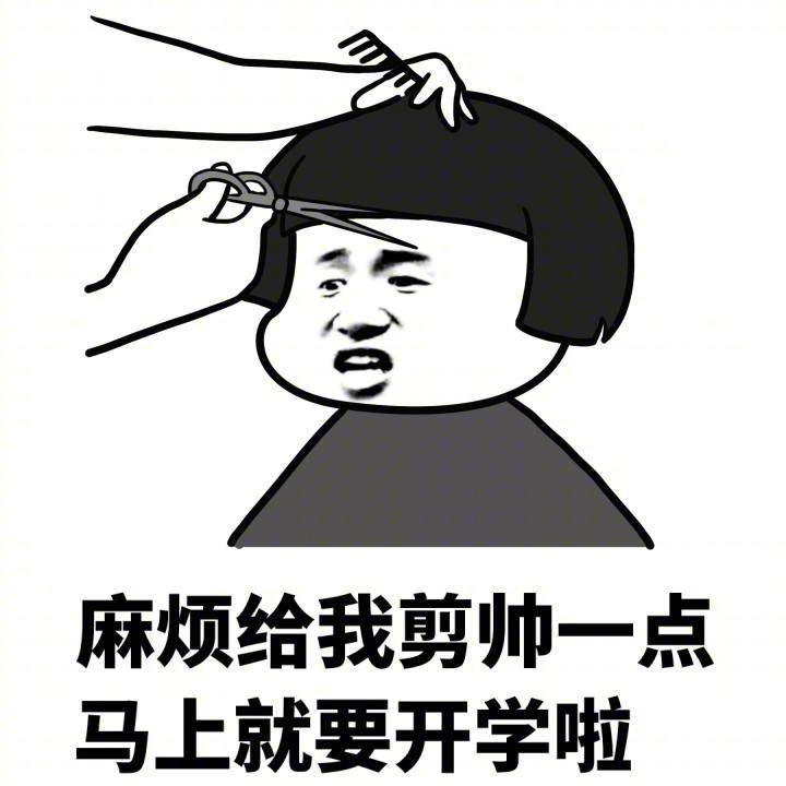 不马上就要开学了,我要剪一个帅气一点的发型,到了学校就可以耍个帅了