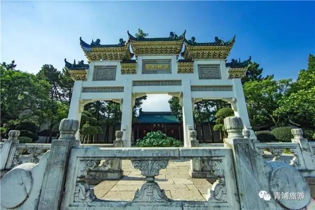 最新版上海赏桂攻略出炉，带你走进桂香满城的秋