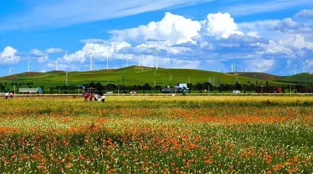 公示!河北10县有望获国家级新称号