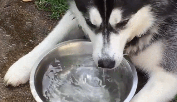 567_327 gif 动态图 动图