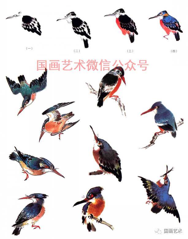 图文教程:十三种鸟的小写意画法