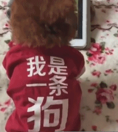 深井冰：这个套路深得无数单身狗们的青睐！