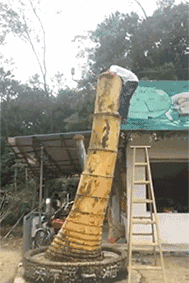 深井冰：这个套路深得无数单身狗们的青睐！