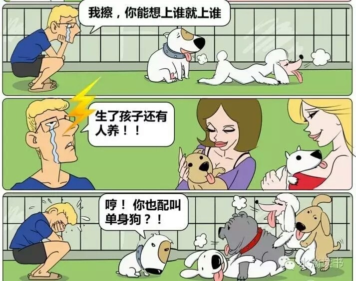 内涵漫画:人不如狗,别说自己的是单身狗了!