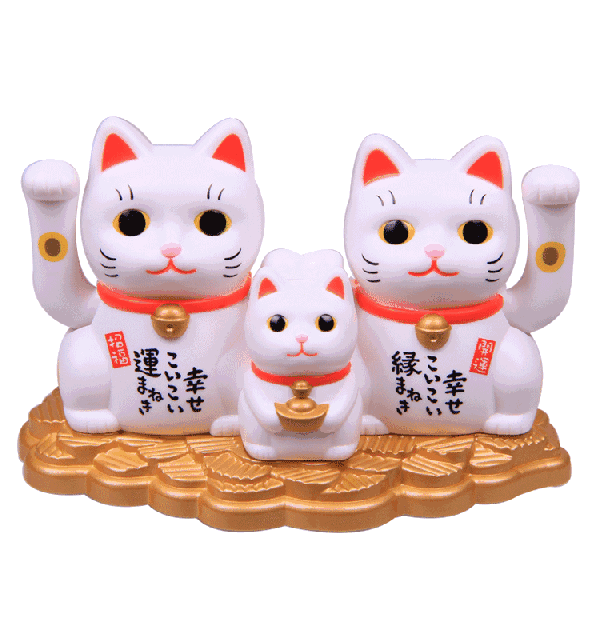 《夏目友人帐》的猫咪老师就是日本短尾猫,尾巴跟兔子