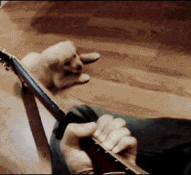 搞笑gif,屁大点儿的事你都不能替我扛,要你干嘛?